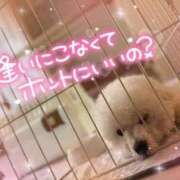 ヒメ日記 2025/10/15 17:30 投稿 七瀬はる 月の真珠-五反田-