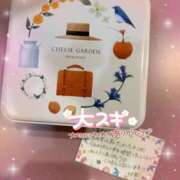 ヒメ日記 2025/11/19 00:30 投稿 七瀬はる 月の真珠-五反田-