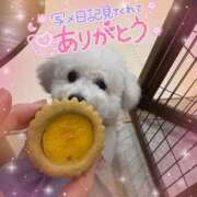 ヒメ日記 2025/12/06 13:30 投稿 七瀬はる 月の真珠-五反田-