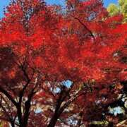 ヒメ日記 2025/12/19 10:20 投稿 七瀬はる 月の真珠-五反田-