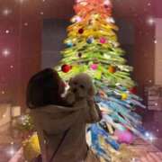 ヒメ日記 2025/12/21 08:20 投稿 七瀬はる 月の真珠-五反田-