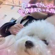 ヒメ日記 2026/01/18 07:00 投稿 七瀬はる 月の真珠-五反田-