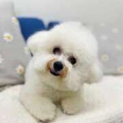 ヒメ日記 2026/03/15 17:20 投稿 七瀬はる 月の真珠-五反田-