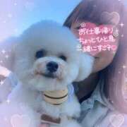 ヒメ日記 2026/03/17 22:29 投稿 七瀬はる 月の真珠-五反田-