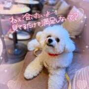 ヒメ日記 2026/03/23 21:30 投稿 七瀬はる 月の真珠-五反田-