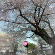 ヒメ日記 2026/04/03 23:02 投稿 七瀬はる 月の真珠-五反田-