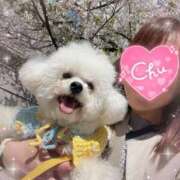 ヒメ日記 2026/04/05 11:50 投稿 七瀬はる 月の真珠-五反田-