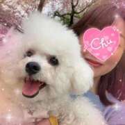 ヒメ日記 2026/04/09 09:51 投稿 七瀬はる 月の真珠-五反田-