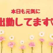 七瀬はる 出勤しました🙆‍♀️💕 月の真珠-五反田-