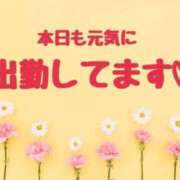 ヒメ日記 2026/08/09 11:20 投稿 七瀬はる 月の真珠-五反田-