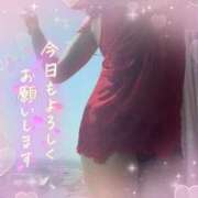 ヒメ日記 2026/09/14 06:40 投稿 七瀬はる 月の真珠-五反田-