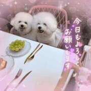 ヒメ日記 2026/10/13 07:00 投稿 七瀬はる 月の真珠-五反田-