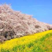 城咲つばき お久しぶりです 月の真珠-五反田-