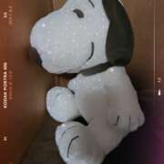 ヒメ日記 2025/01/15 21:05 投稿 ひびき プレジデントオアシス