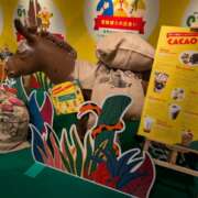 ヒメ日記 2025/01/28 19:20 投稿 ひびき プレジデントオアシス