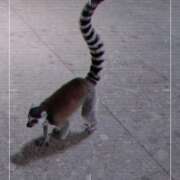 ヒメ日記 2025/04/14 16:48 投稿 ひびき プレジデントオアシス