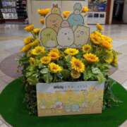 ヒメ日記 2025/08/05 17:15 投稿 ひびき プレジデントオアシス