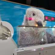 ヒメ日記 2025/08/25 11:50 投稿 ひびき プレジデントオアシス