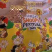 ヒメ日記 2025/08/26 20:38 投稿 ひびき プレジデントオアシス