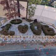 ヒメ日記 2025/12/01 20:55 投稿 ひびき プレジデントオアシス