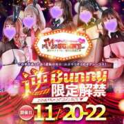 ヒメ日記 2023/11/22 02:00 投稿 シュガー　ミニマム×ギャル×癒し ドMなバニーちゃん和歌山店