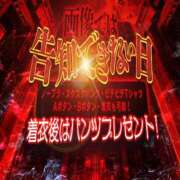 シュガー　ミニマム×ギャル×癒し 直近１週間の出勤予定です。 ドMなバニーちゃん和歌山店