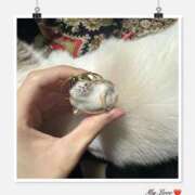 ヒメ日記 2025/06/21 00:20 投稿 りか チューリップ姫路店