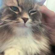 ヒメ日記 2025/09/22 07:30 投稿 りか チューリップ姫路店