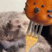 ヒメ日記 2025/10/03 20:50 投稿 りか チューリップ姫路店