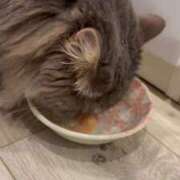 ヒメ日記 2025/10/05 01:12 投稿 りか チューリップ姫路店