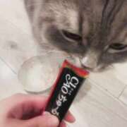 りか 🐱ちゅーるありがちょ🐱 チューリップ姫路店