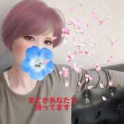 ヒメ日記 2025/04/19 20:50 投稿 まどか 人妻倶楽部内緒の関係 成田店