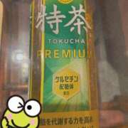 ヒメ日記 2025/02/08 17:08 投稿 ウタ【宮崎っ子】 Alice