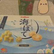 ヒメ日記 2025/02/09 00:18 投稿 ウタ【宮崎っ子】 Alice