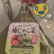 ヒメ日記 2025/02/22 16:38 投稿 ウタ【宮崎っ子】 Alice