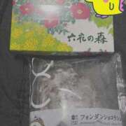 ヒメ日記 2025/02/23 03:18 投稿 ウタ【宮崎っ子】 Alice