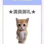 ヒメ日記 2025/02/23 03:38 投稿 ウタ【宮崎っ子】 Alice