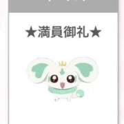 ヒメ日記 2025/03/07 01:00 投稿 ウタ【宮崎っ子】 Alice