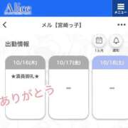 ヒメ日記 2025/10/16 20:38 投稿 メル【宮崎っ子】 Alice