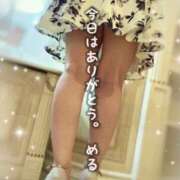 ヒメ日記 2025/11/07 16:40 投稿 メル【宮崎っ子】 Alice