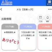 ヒメ日記 2025/11/07 18:18 投稿 メル【宮崎っ子】 Alice