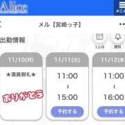 ヒメ日記 2025/11/10 21:03 投稿 メル【宮崎っ子】 Alice