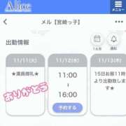 ヒメ日記 2025/11/11 18:28 投稿 メル【宮崎っ子】 Alice