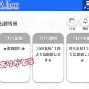 ヒメ日記 2025/11/12 20:08 投稿 メル【宮崎っ子】 Alice