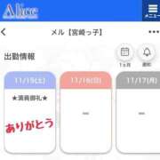 ヒメ日記 2025/11/15 19:48 投稿 メル【宮崎っ子】 Alice