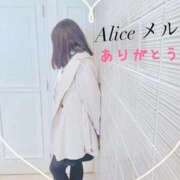メル【宮崎っ子】 出勤しました❗️ Alice