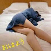 ヒメ日記 2026/01/17 07:28 投稿 メル【宮崎っ子】 Alice