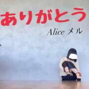 ヒメ日記 2026/01/29 10:50 投稿 メル【宮崎っ子】 Alice