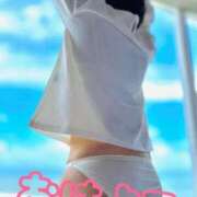 ヒメ日記 2026/02/14 07:20 投稿 メル【宮崎っ子】 Alice