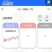 ヒメ日記 2026/02/14 21:20 投稿 メル【宮崎っ子】 Alice
